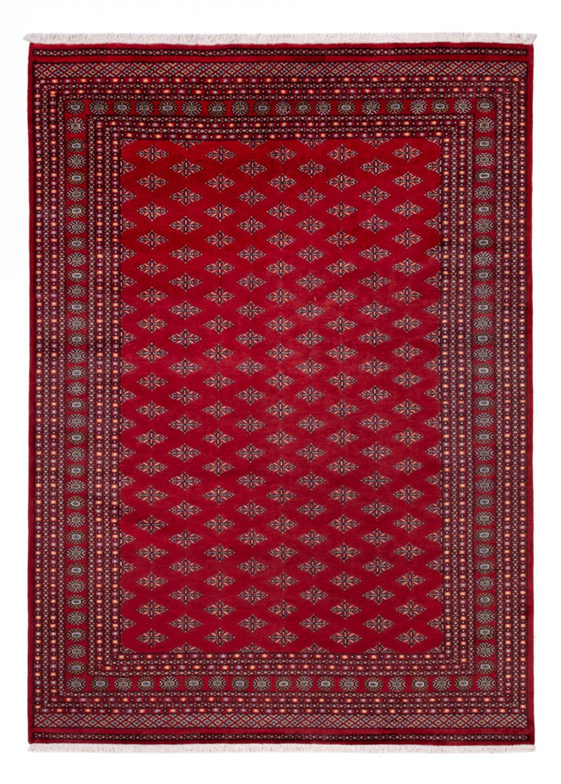 Afghan Rug - Bukhara - 350 x 253 cm - red