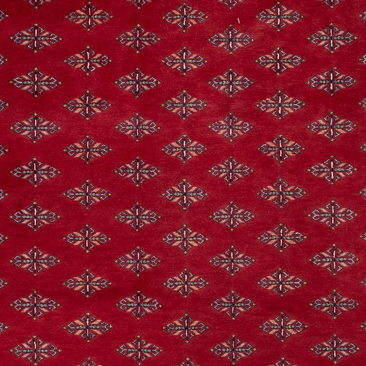 Afghan Rug - Bukhara - 350 x 253 cm - red