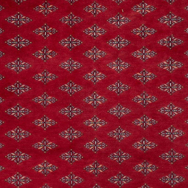 Afghan Rug - Bukhara - 350 x 253 cm - red
