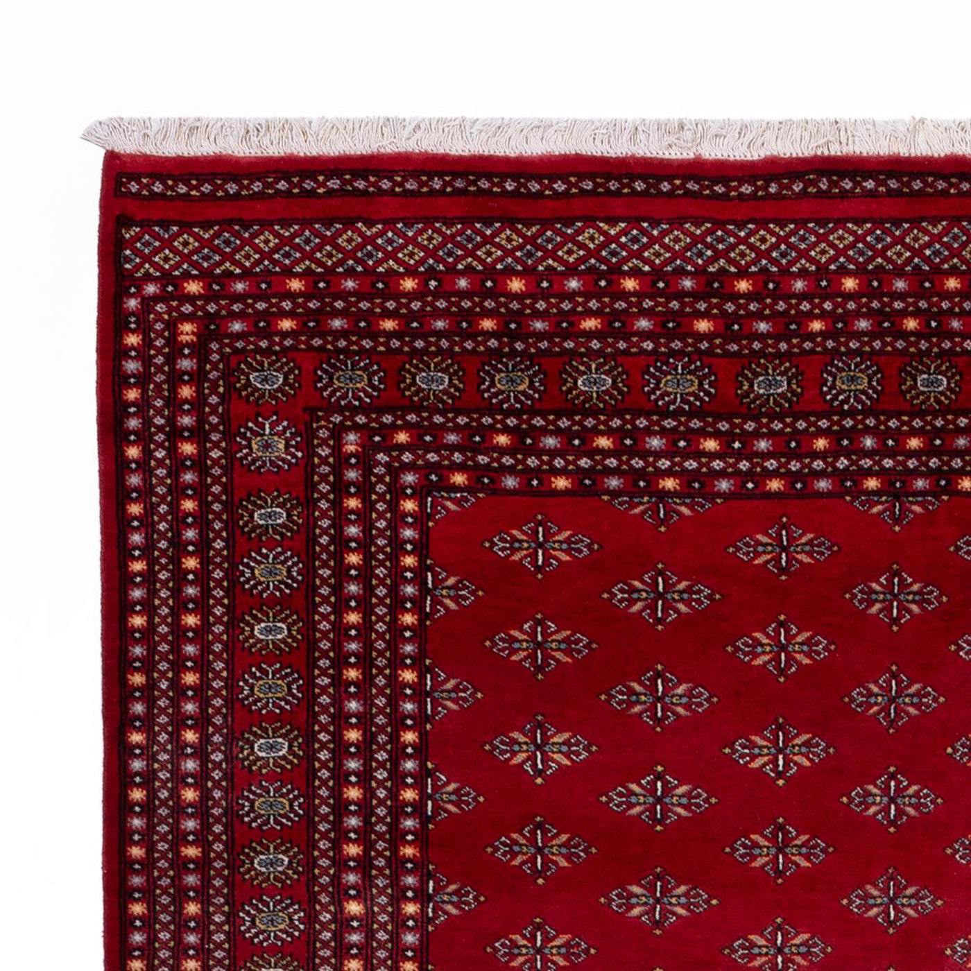 Bukhara Rug 350x253cm - Oriental Rug