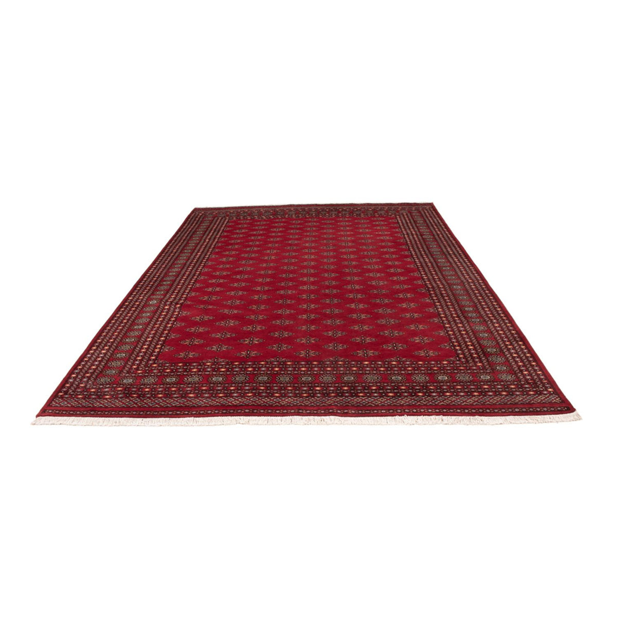 Afghan Rug - Bukhara - 350 x 253 cm - red