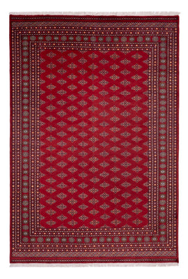 Afghan Rug - Bukhara - 365 x 249 cm - red