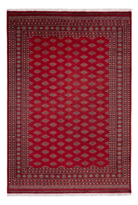Afghan Rug - Bukhara - 365 x 249 cm - red
