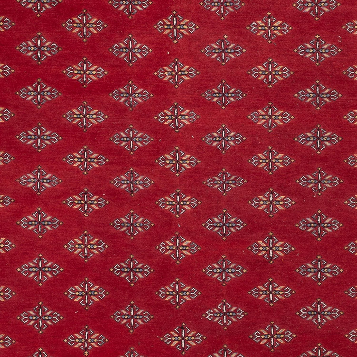 Afghan Rug - Bukhara - 365 x 249 cm - red