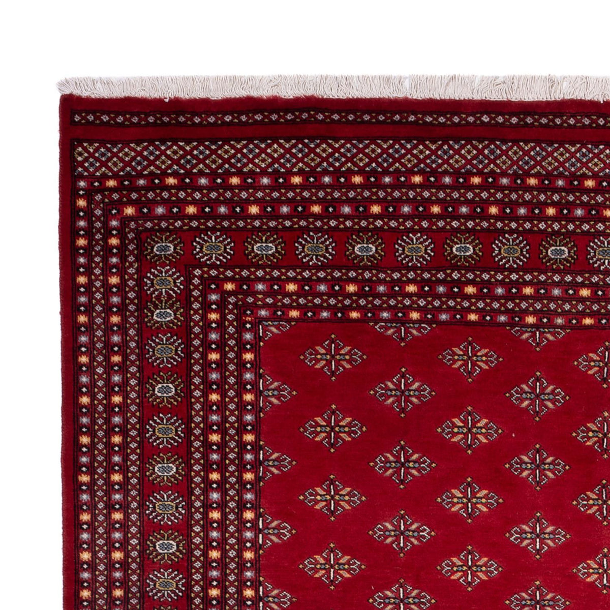 Afghan Rug - Bukhara - 365 x 249 cm - red