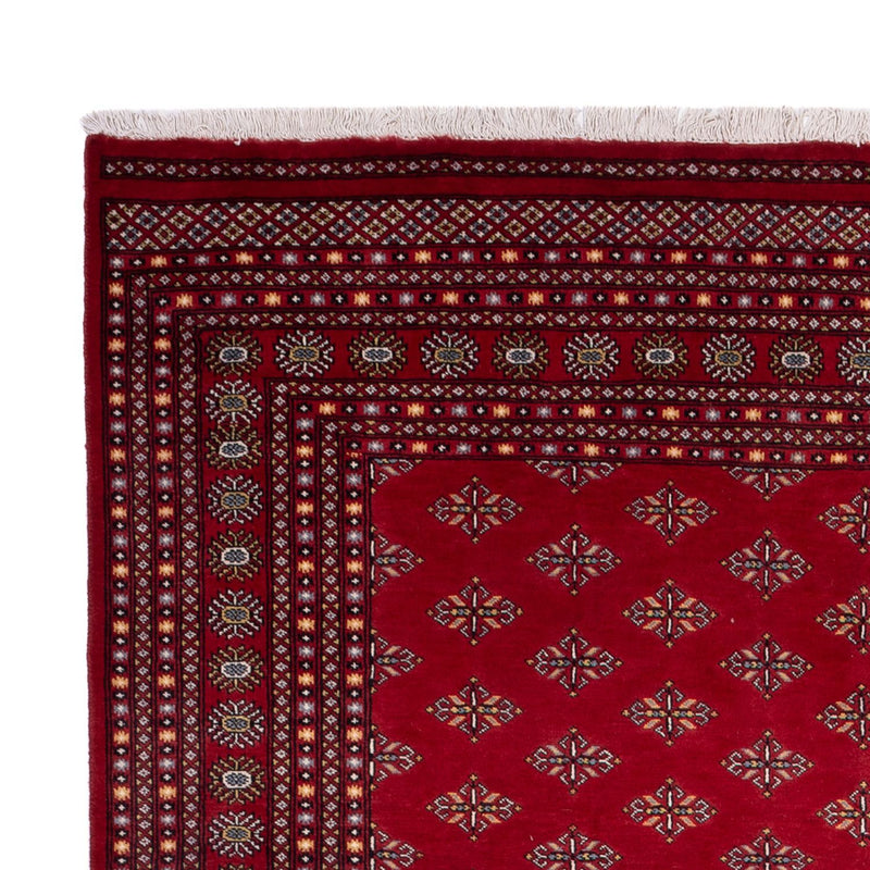 Afghan Rug - Bukhara - 365 x 249 cm - red