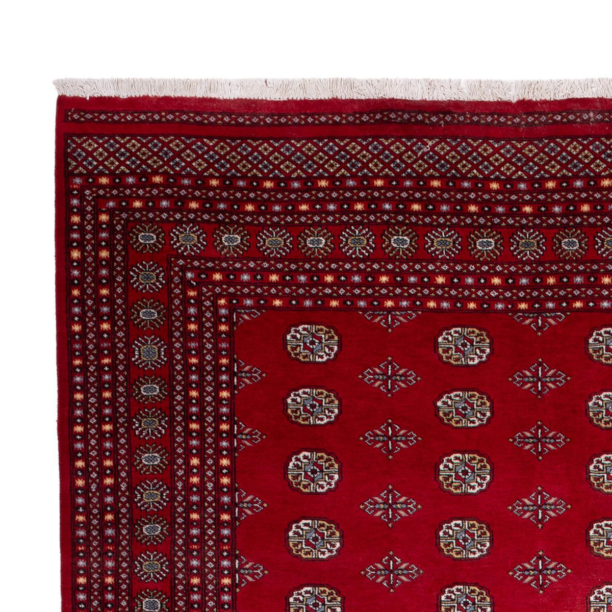 Bukhara Rug 277x380cm - Oriental Rug