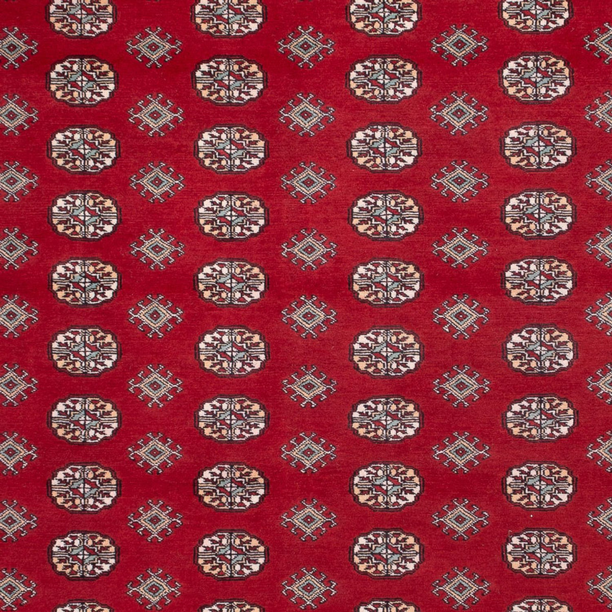 Afghan Rug - Bukhara - 362 x 278 cm - red