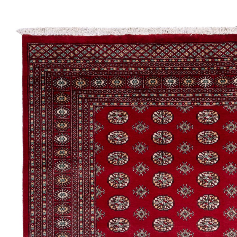 Afghan Rug - Bukhara - 362 x 278 cm - red