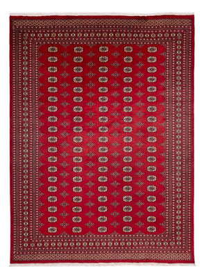 Afghan Rug - Bukhara - 369 x 275 cm - red