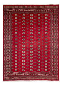 Afghan Rug - Bukhara - 369 x 275 cm - red