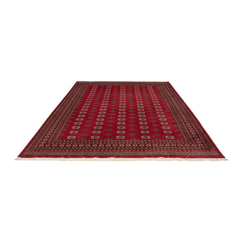 Afghan Rug - Bukhara - 369 x 275 cm - red