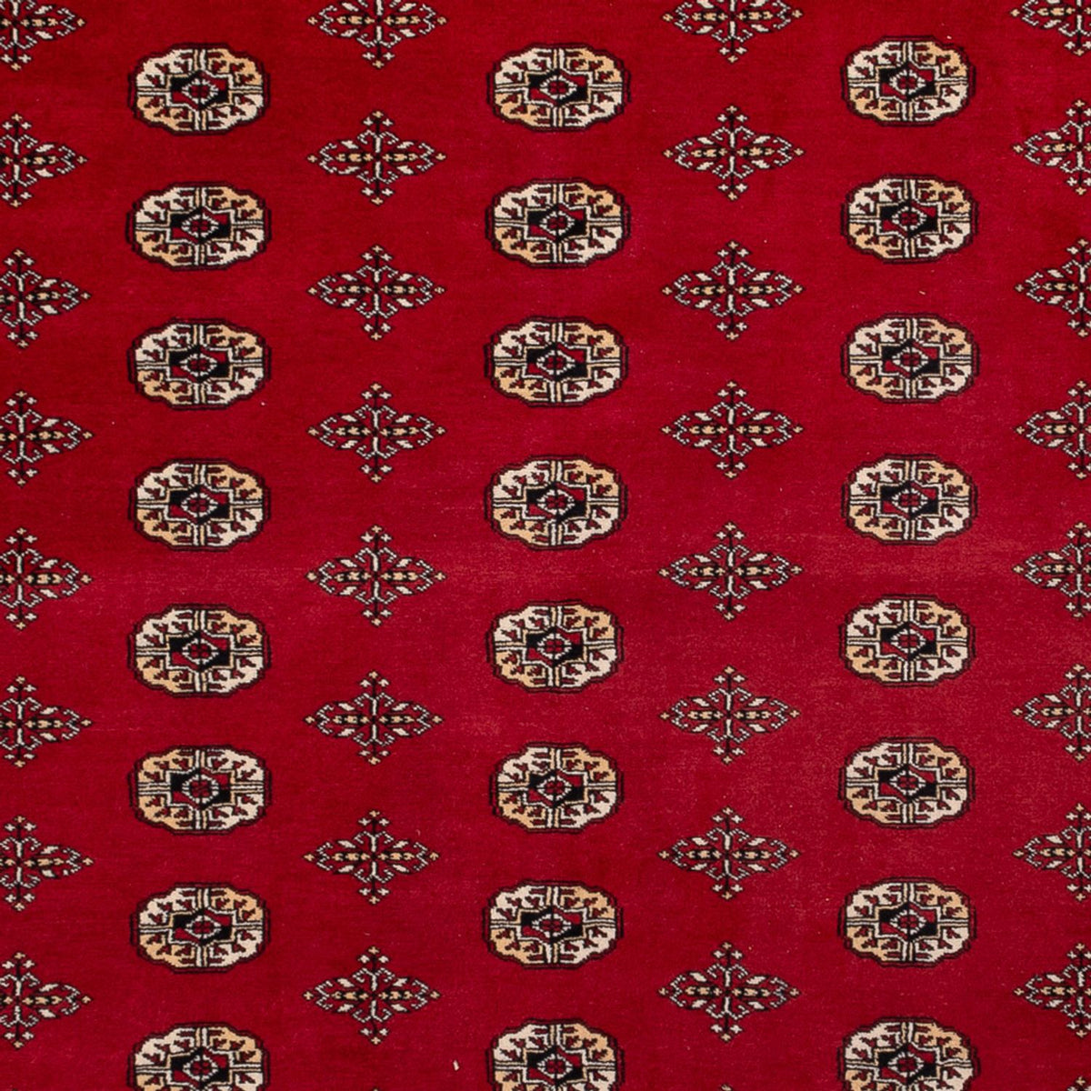 Afghan Rug - Bukhara - 387 x 276 cm - red