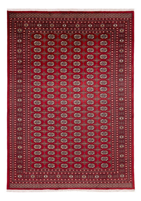 Afghan Rug - Bukhara - 346 x 241 cm - red
