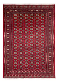 Afghan Rug - Bukhara - 346 x 241 cm - red