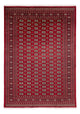 Bukhara Rug 241x346cm - Oriental Rug