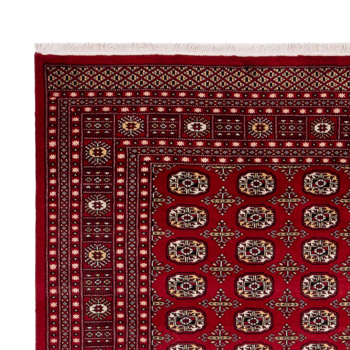 Bukhara Rug 241x346cm - Oriental Rug