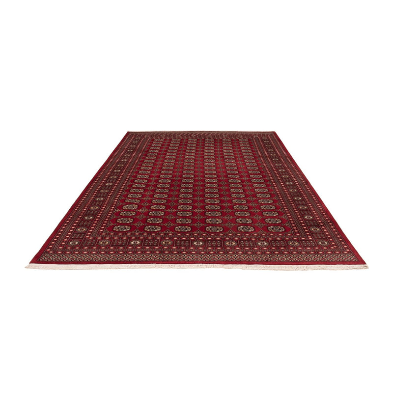 Afghan Rug - Bukhara - 346 x 241 cm - red