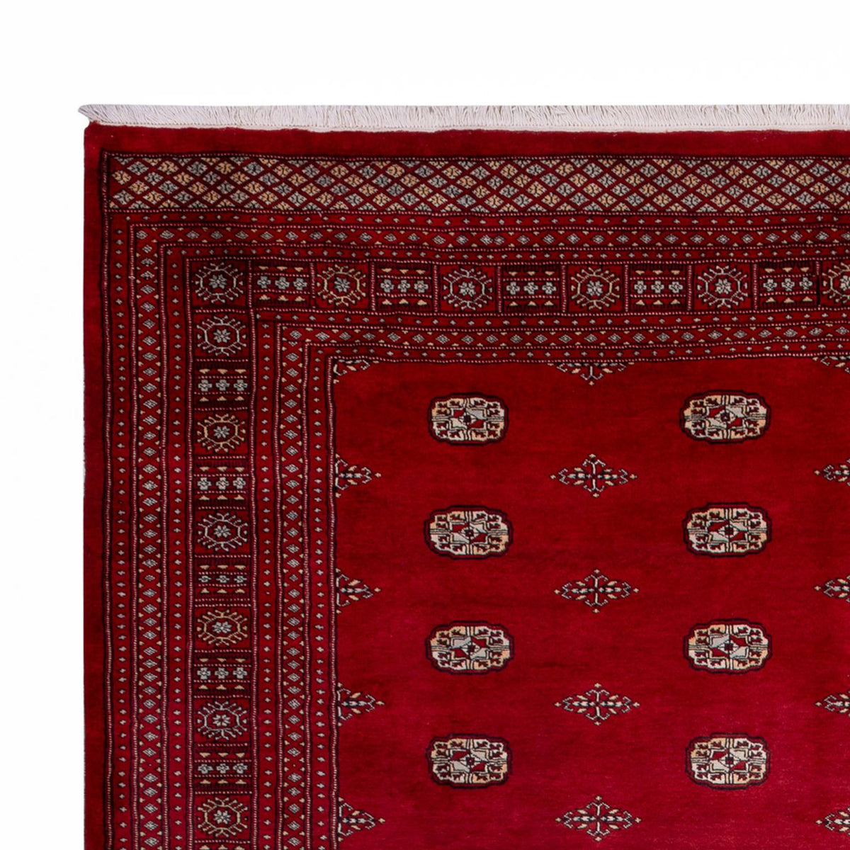 Afghan Rug - Bukhara - 364 x 283 cm - red