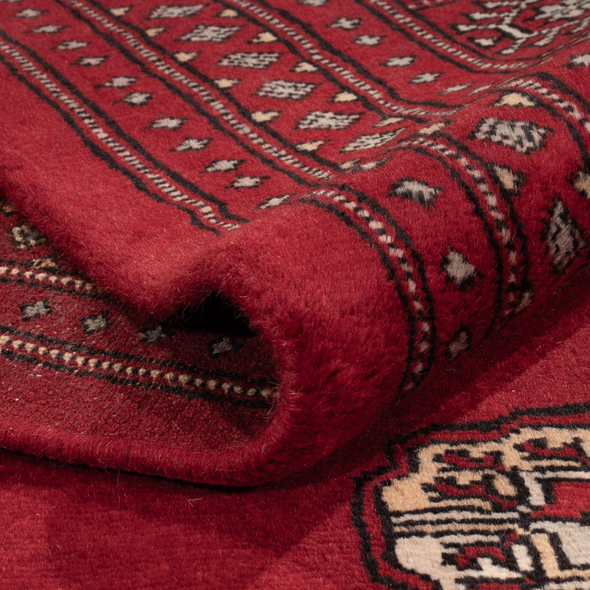 Afghan Rug - Bukhara - 364 x 283 cm - red
