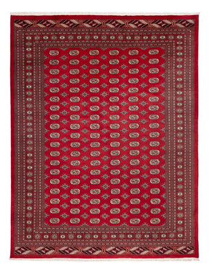 Afghan Rug - Bukhara - 354 x 275 cm - red