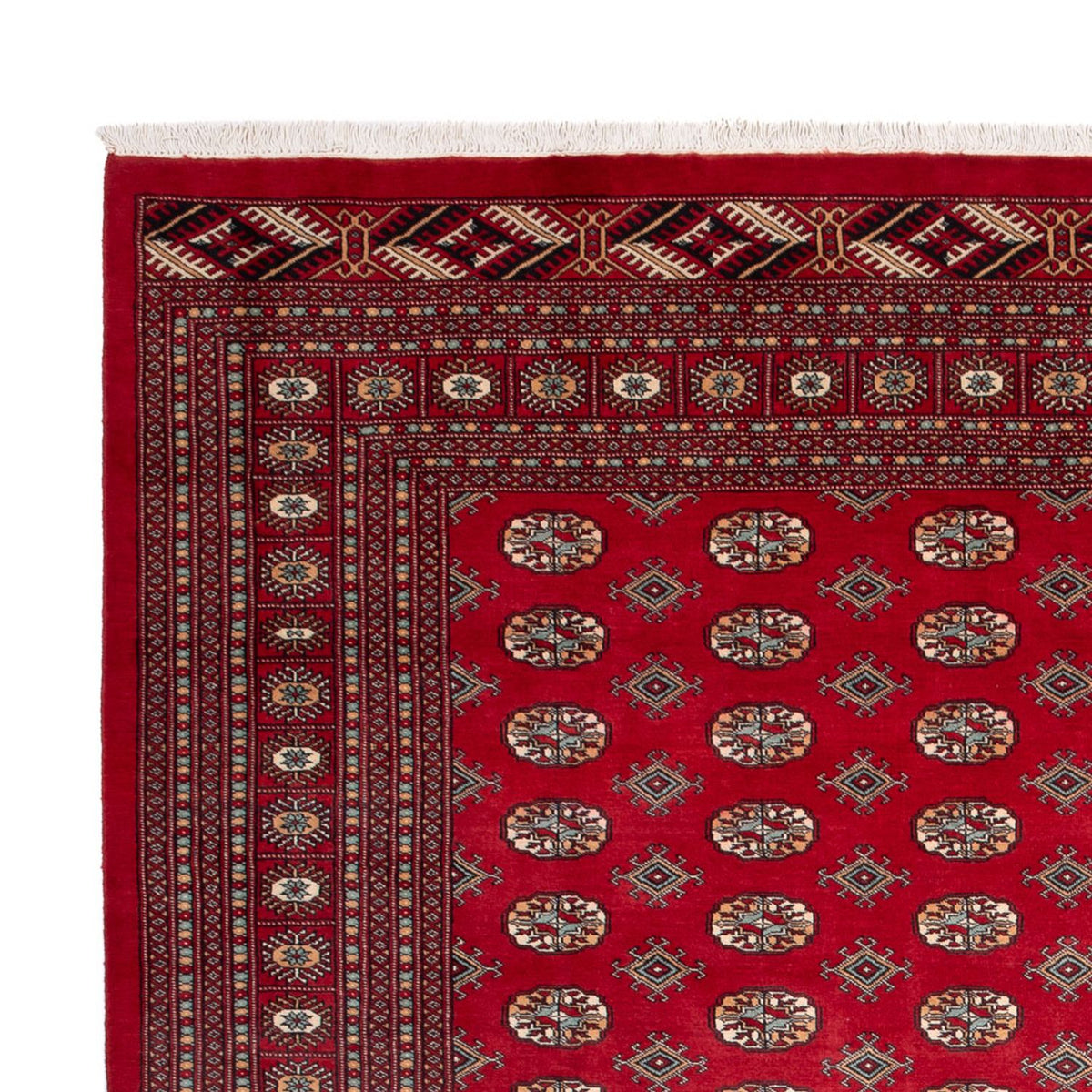 Bukhara Rug 275x354cm - Oriental Rug