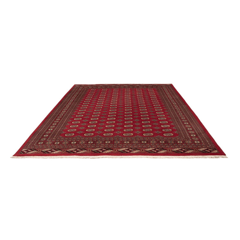Afghan Rug - Bukhara - 354 x 275 cm - red