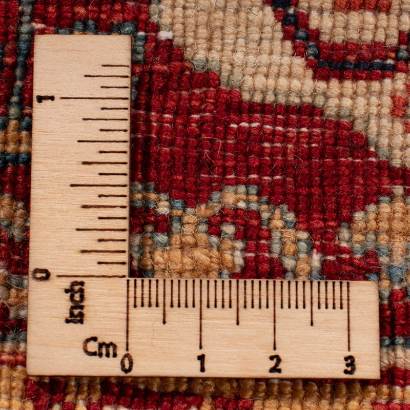 Ziegler Rug - Ariana - 386 x 195 cm - dark beige