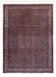 Bidjar - Takab Rug 252x349cm - Persian Rugs