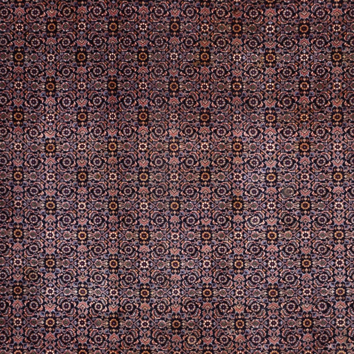 Perser Rug - Bidjar - 349 x 252 cm - dark beige