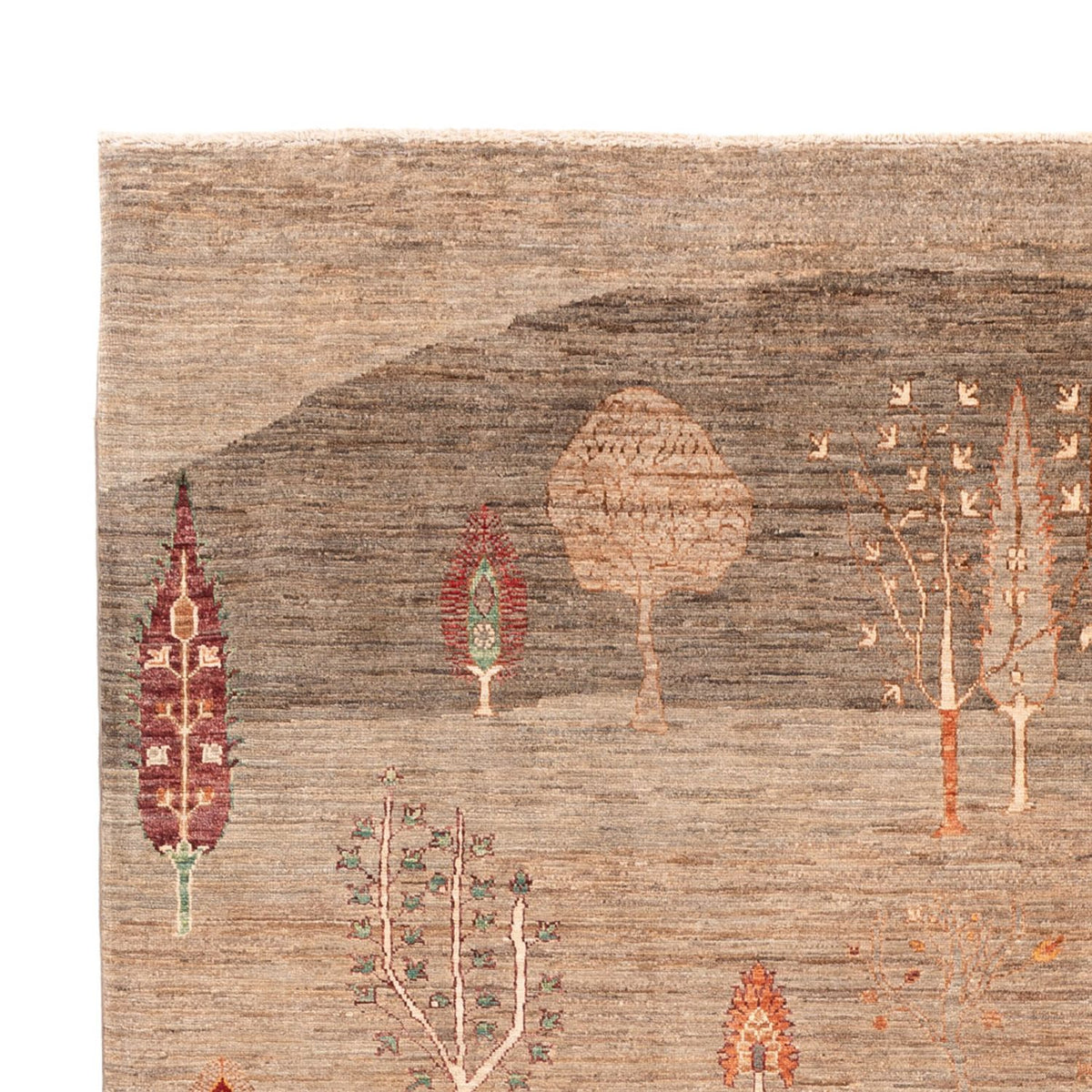Ariana Rug 210x301cm - Oriental Rug