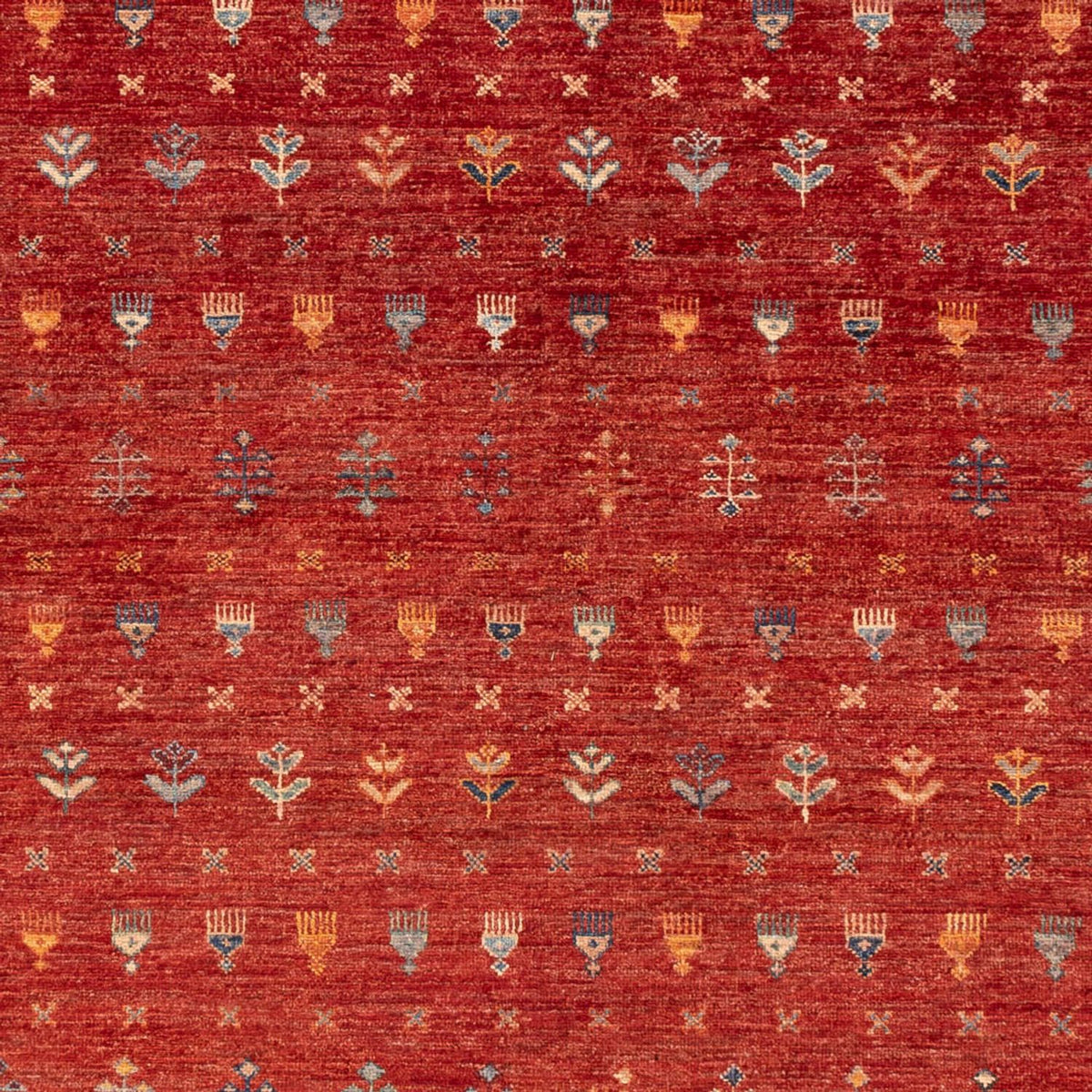 Ziegler Rug - Ariana - 306 x 211 cm - red