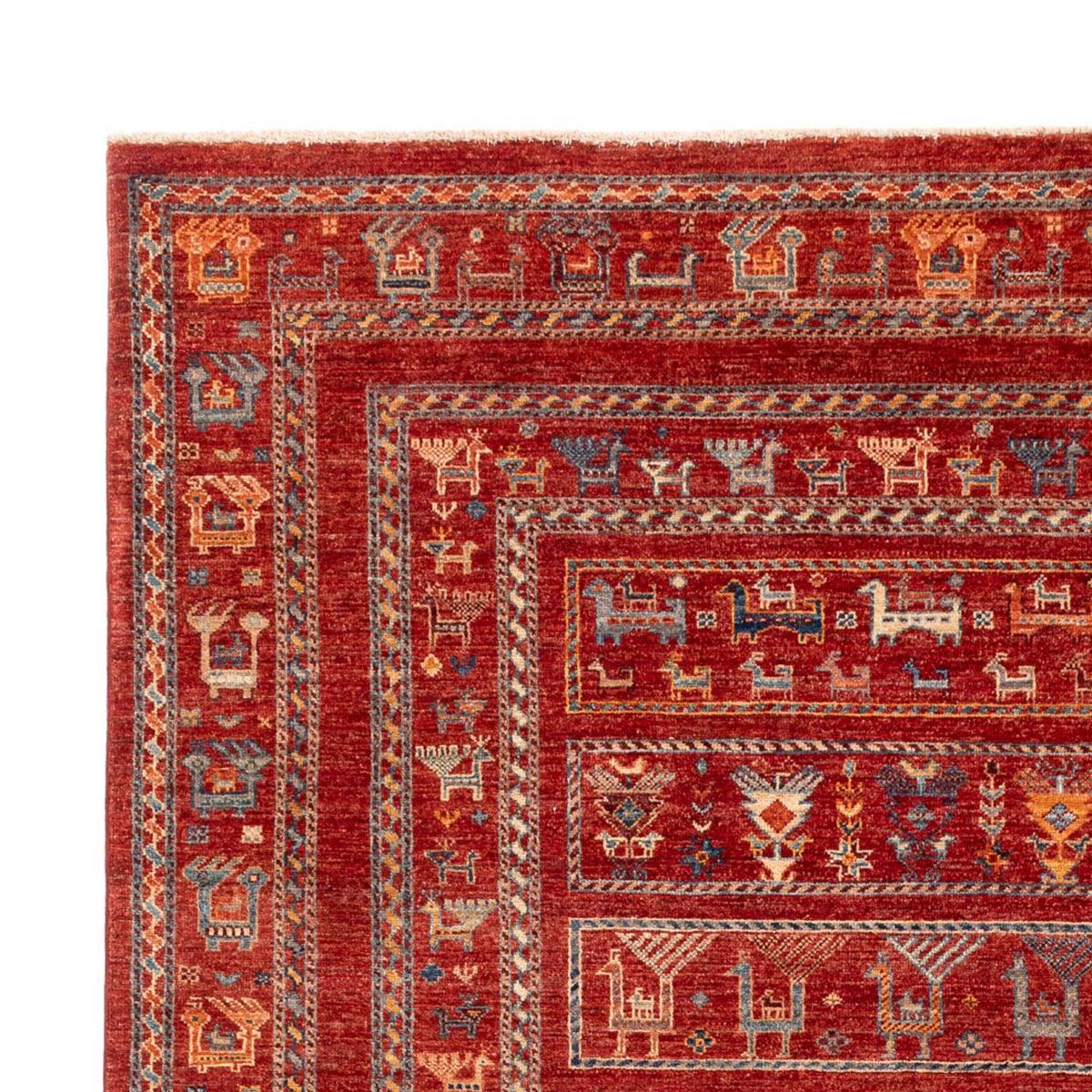 Ziegler Rug - Ariana - 306 x 211 cm - red