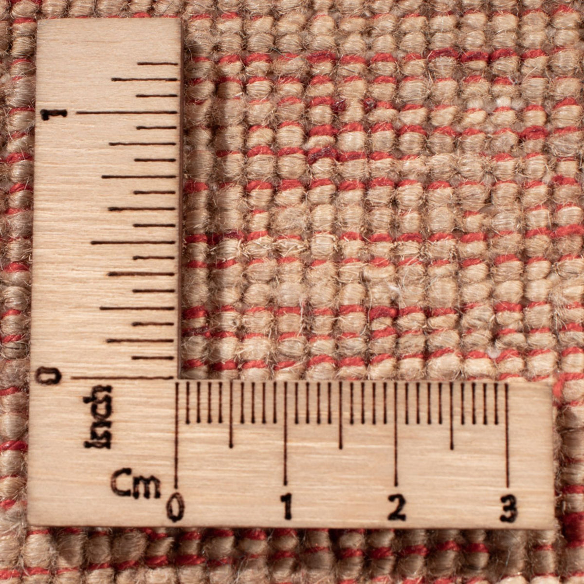 Ziegler Rug - Ariana - 298 x 248 cm - beige