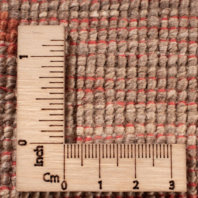 Ziegler Rug - Ariana - 300 x 242 cm - beige