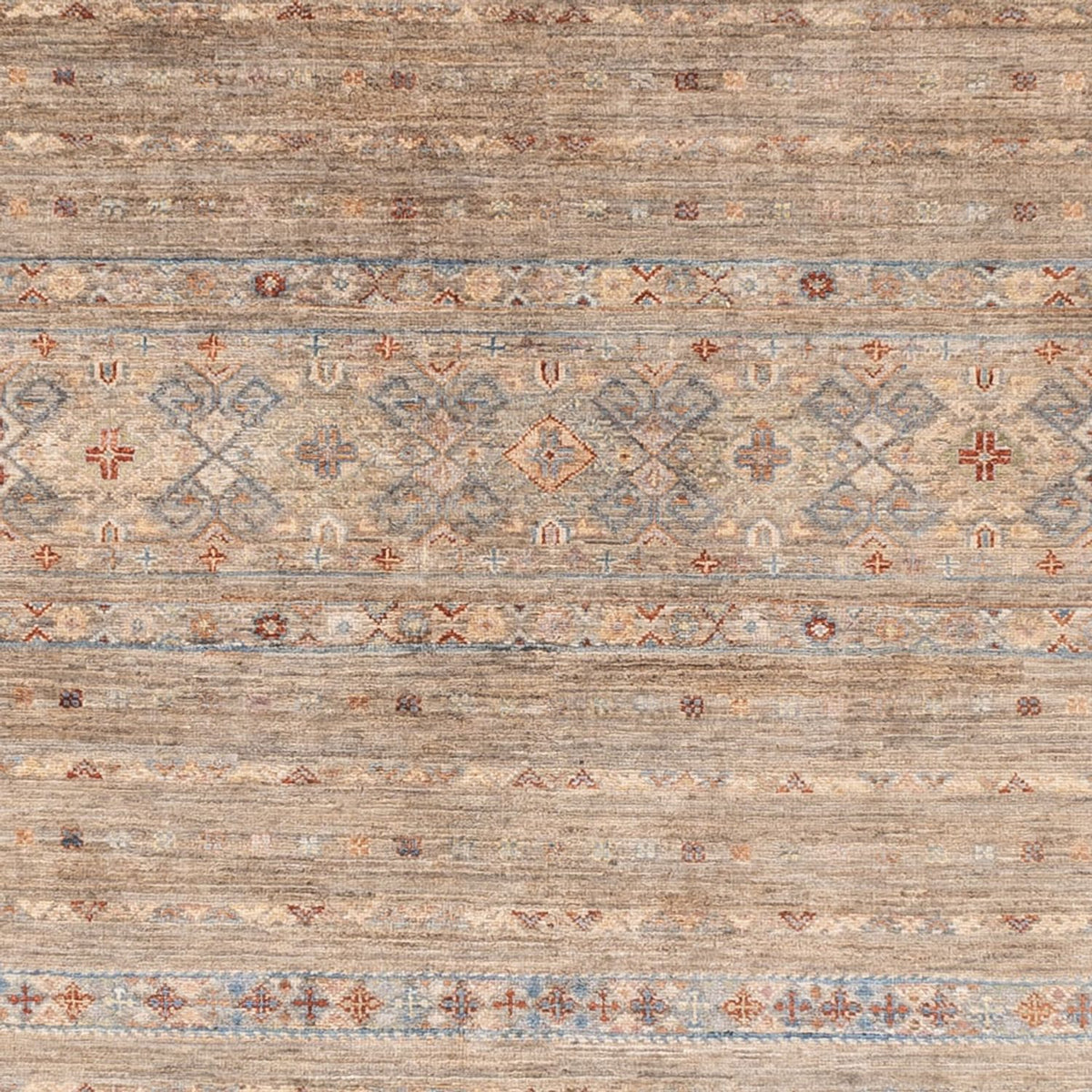 Ziegler Rug - Ariana - 292 x 243 cm - beige