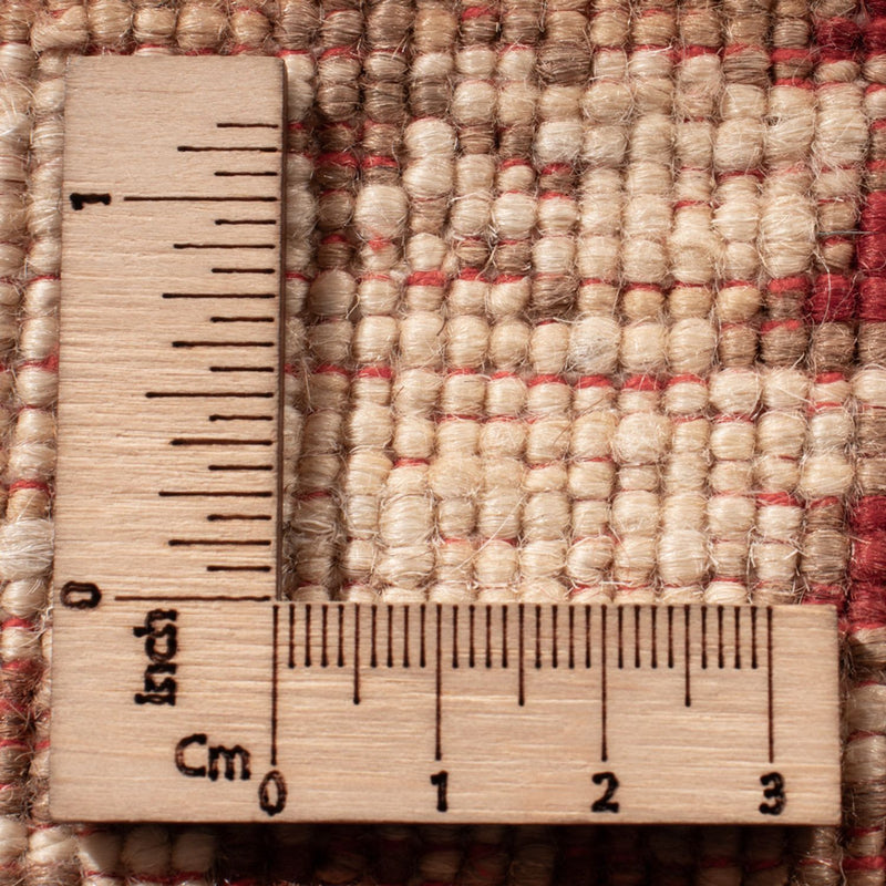 Ziegler Rug - Ariana - 303 x 247 cm - multicolored