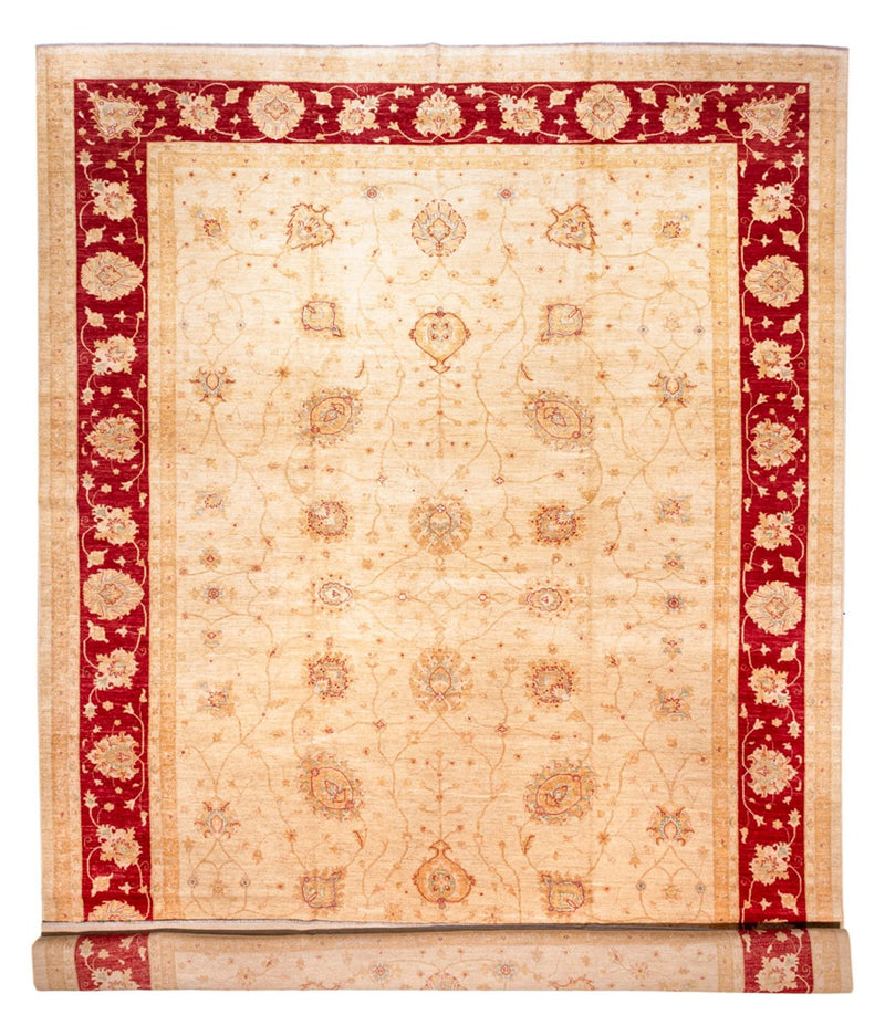 Ziegler Rug 584x394cm - Oriental Rug