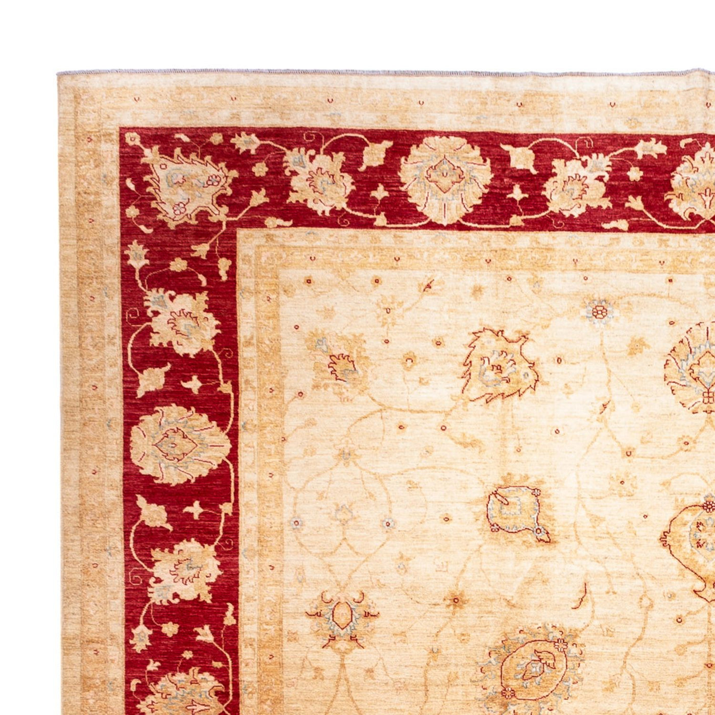 Ziegler Rug 584x394cm - Oriental Rug