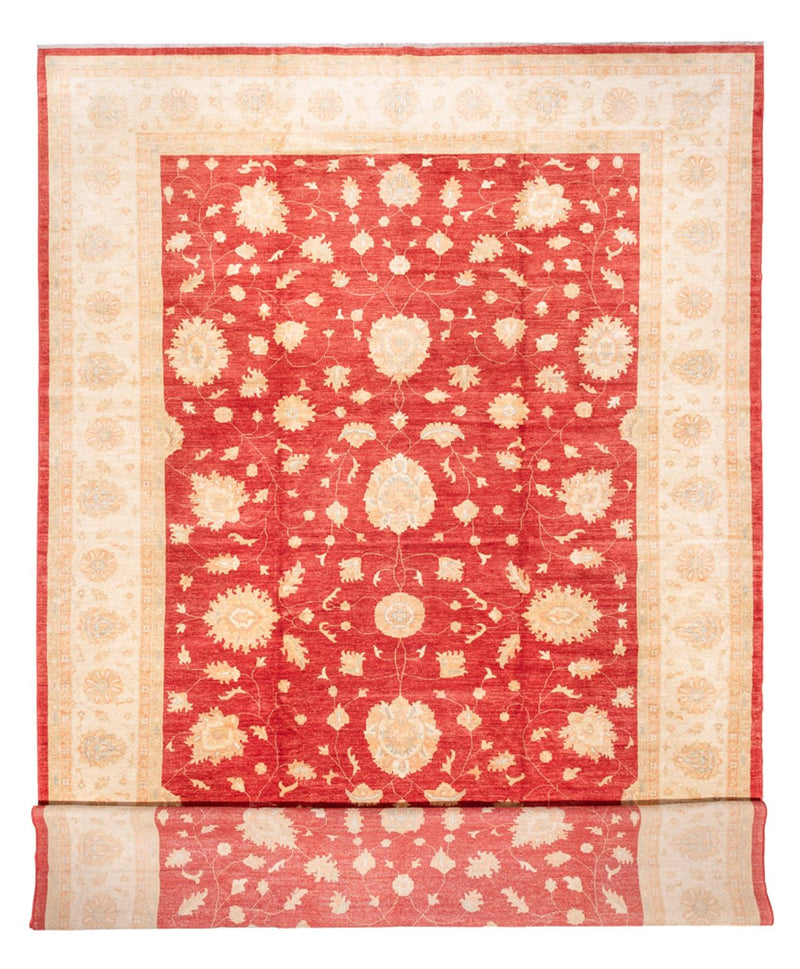 Ziegler Rug - 686 x 402 cm - red