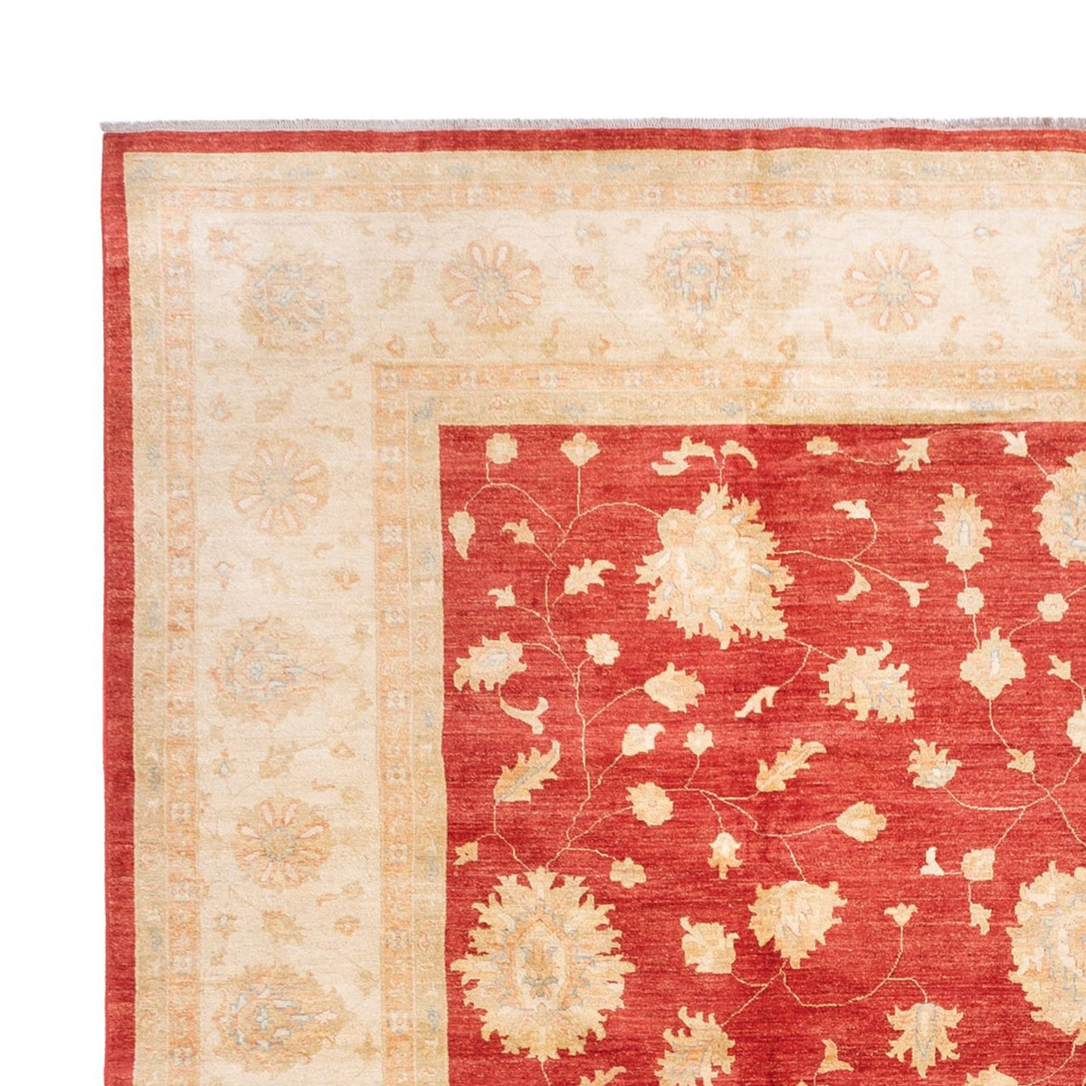 Ziegler Rug - 686 x 402 cm - red