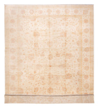 Ziegler Rug - 592 x 403 cm - beige