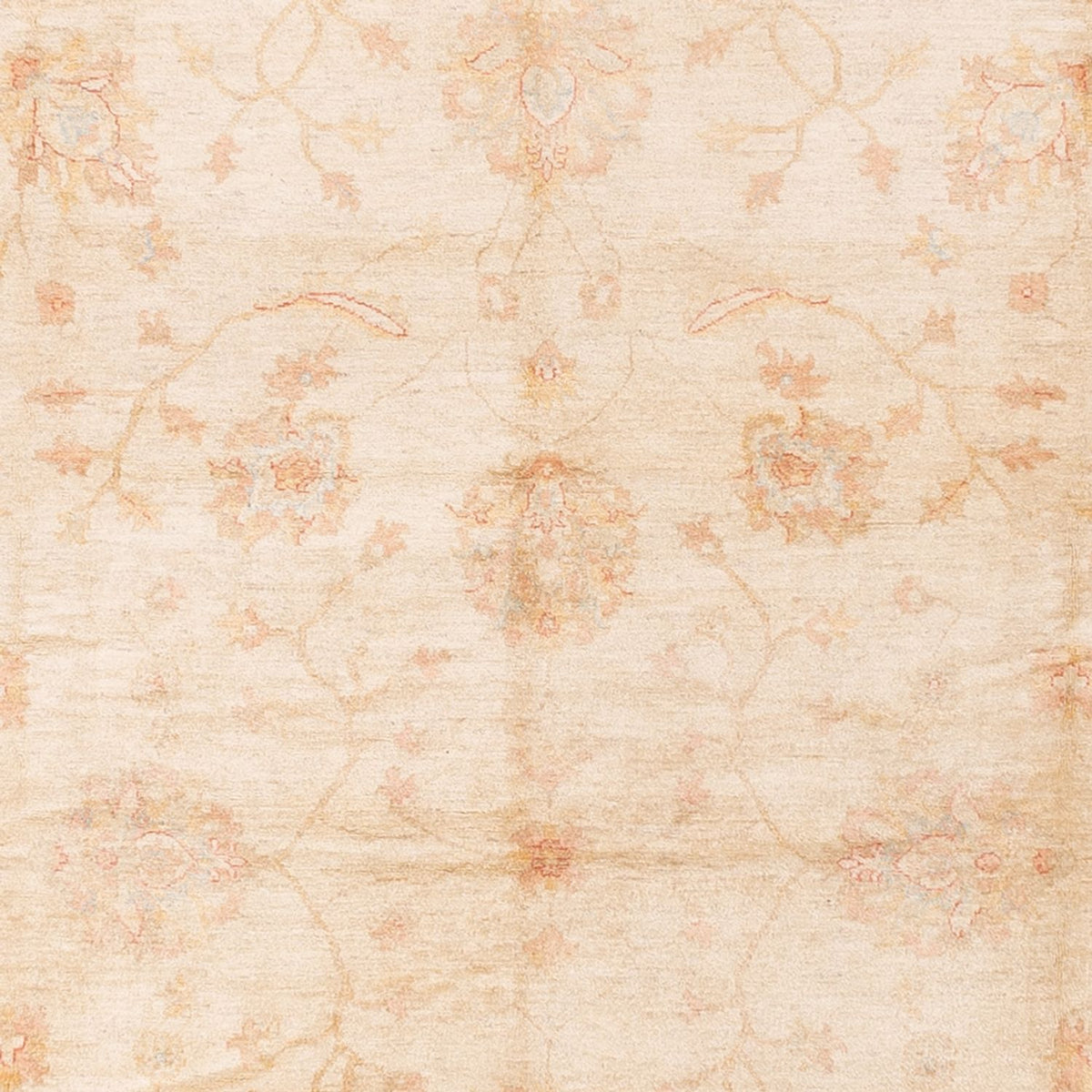 Ziegler Rug - 592 x 403 cm - beige