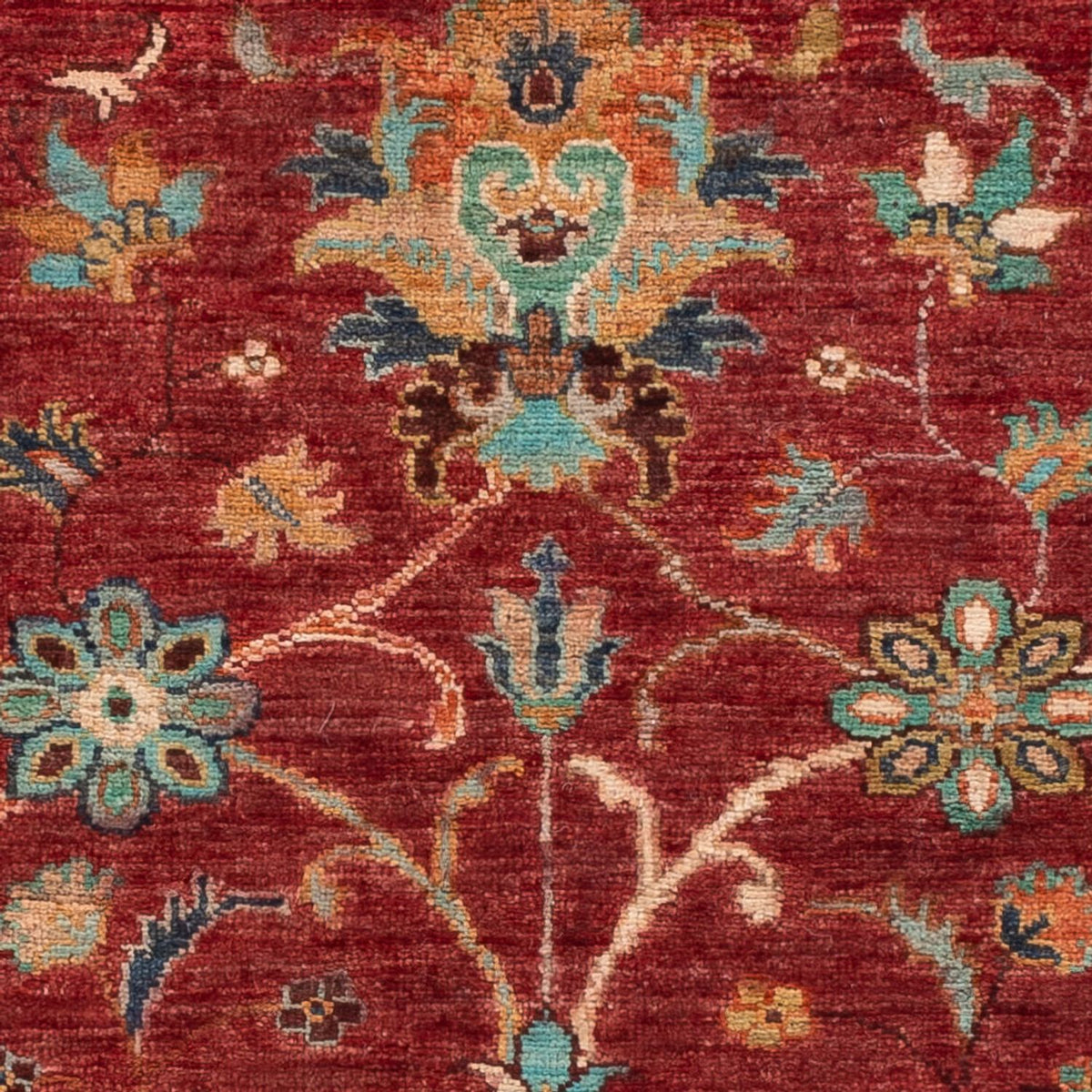 Ziegler Rug - Ariana - 151 x 102 cm - red