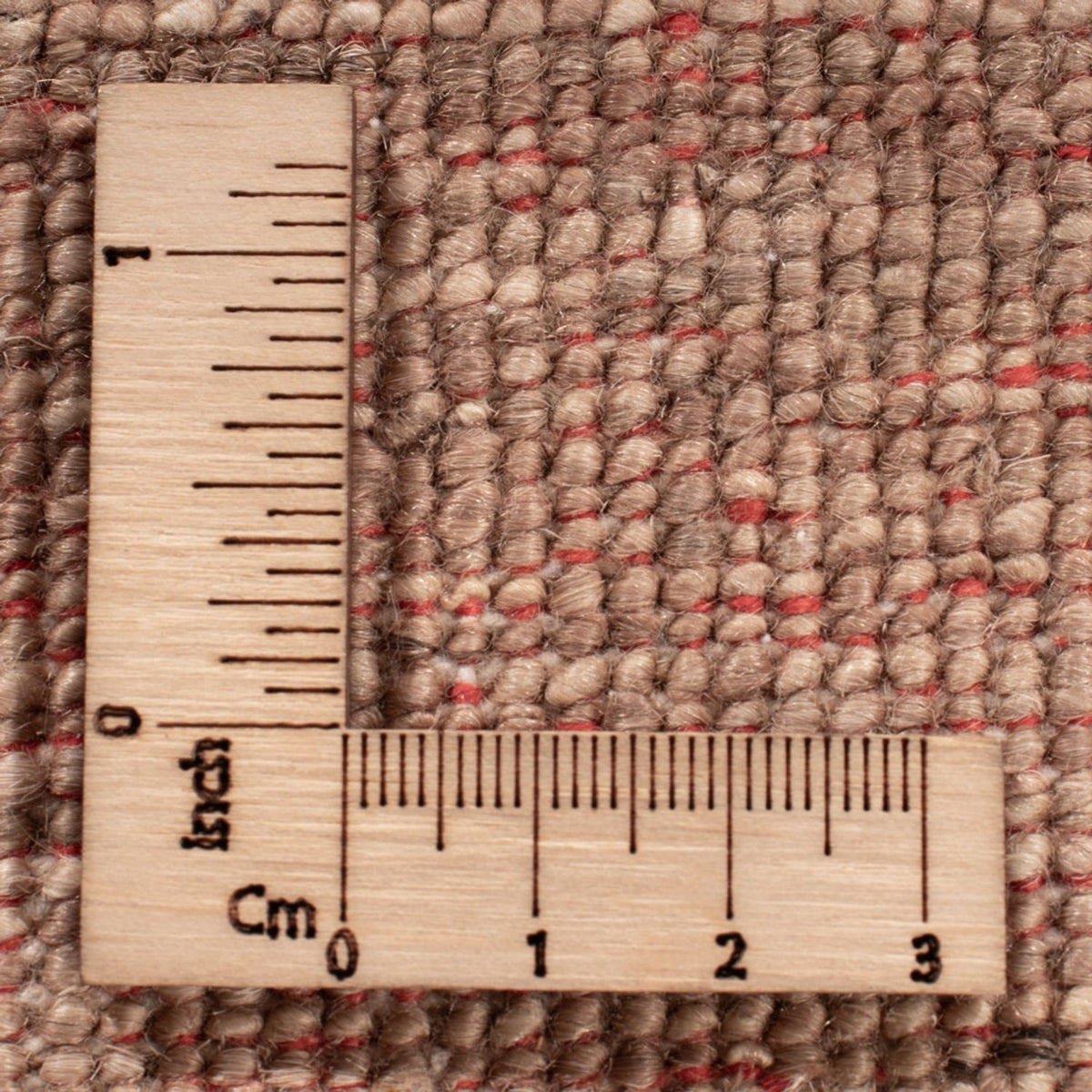 Ziegler Rug - Ariana - 150 x 100 cm - beige