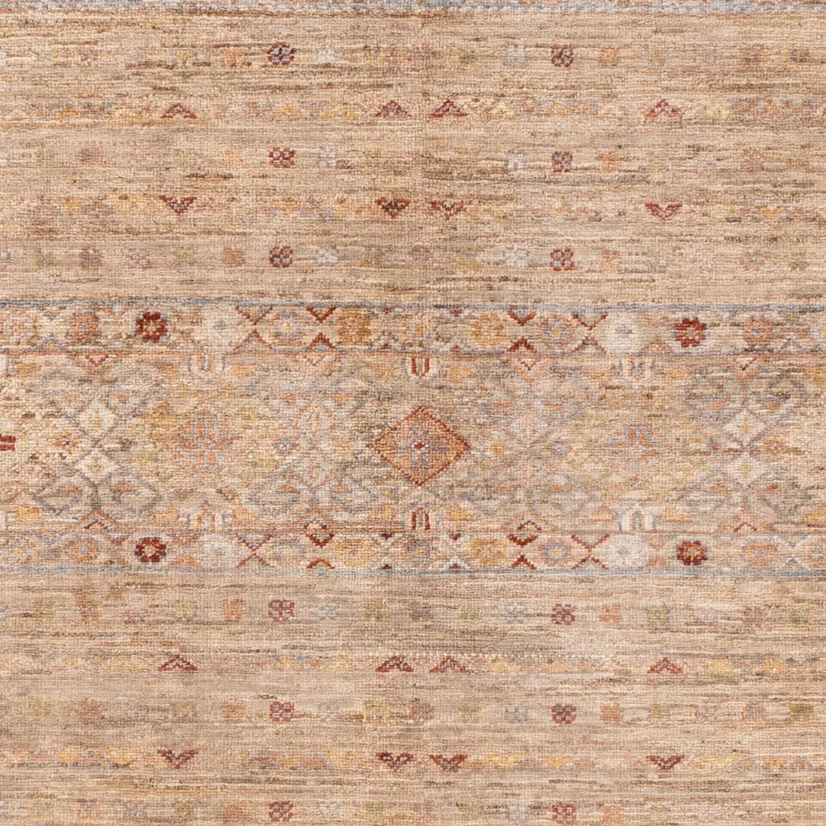 Ziegler Rug - Ariana - 245 x 173 cm - beige