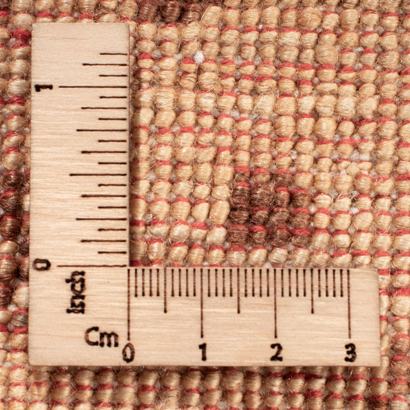 Ziegler Rug - Ariana - 243 x 173 cm - beige