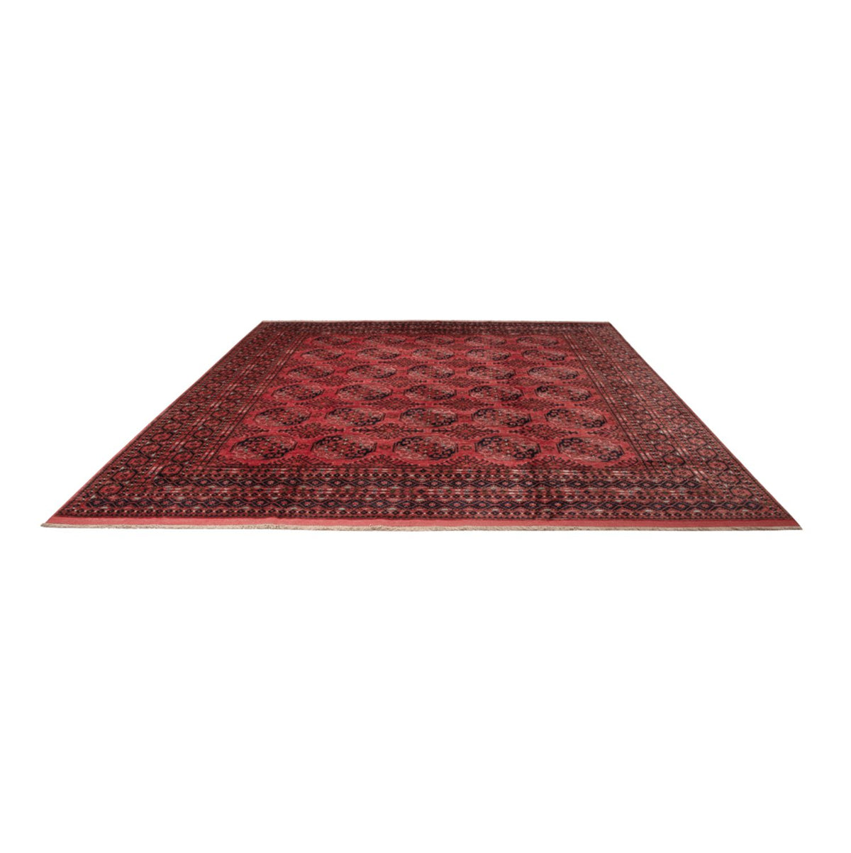 Afghan Rug - Bukhara - 404 x 351 cm - red