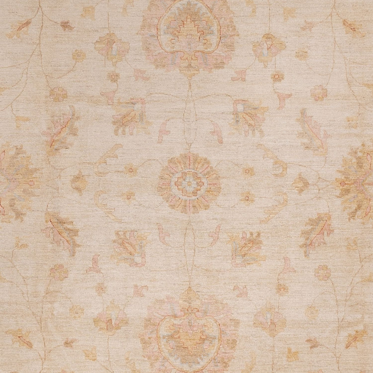 Ziegler Rug - 490 x 357 cm - beige