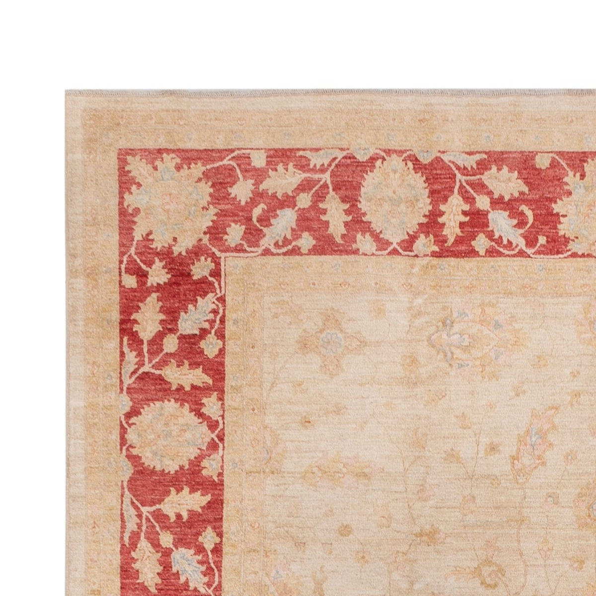 Ziegler Rug - 494 x 301 cm - beige